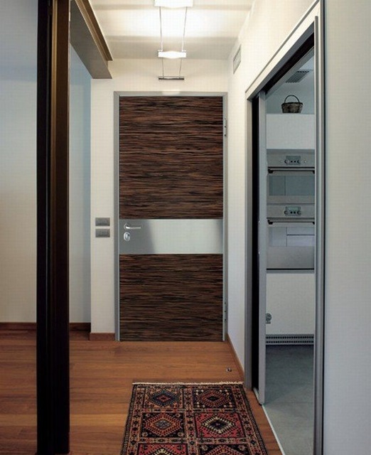 porte appartement contemporaine