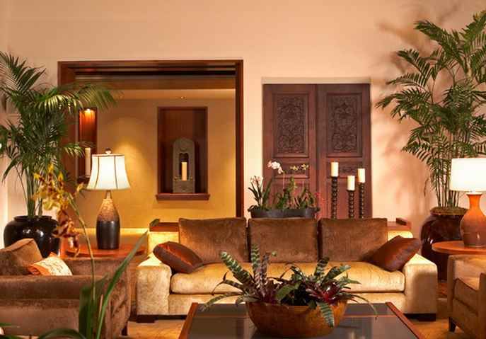 intérieur de la maison avec des plantes décoratives