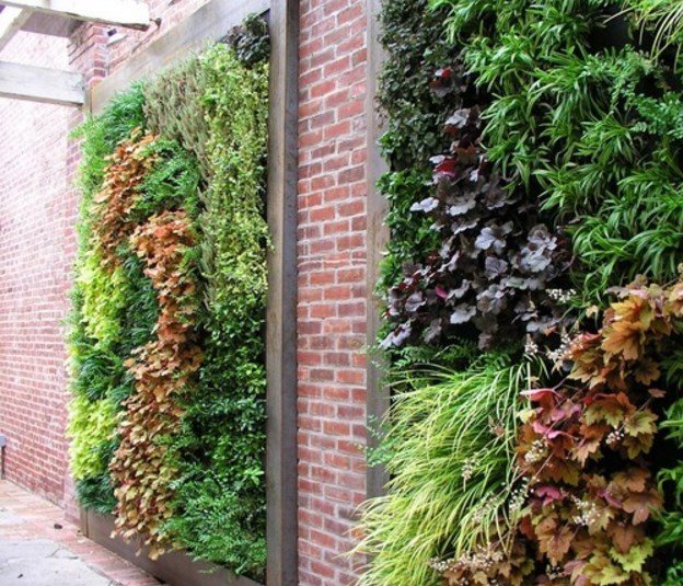 7 étapes faciles pour créer un jardin vertical